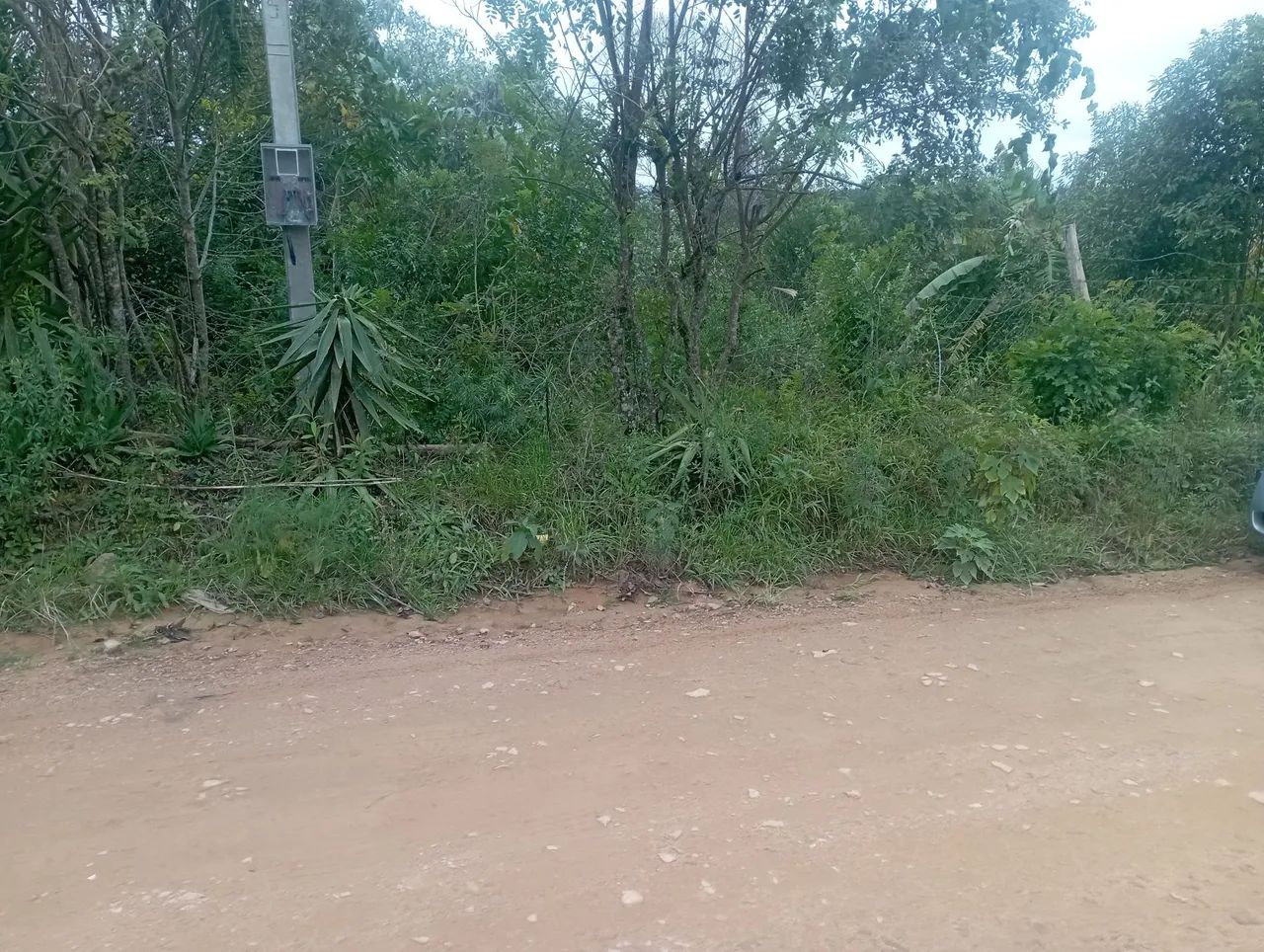 Chacrinha em Mandirituba 