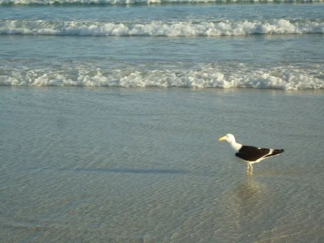 Carnaval 2026 - Cabo Frio em frente à praia com Vista Deslumbrante - Foto 11