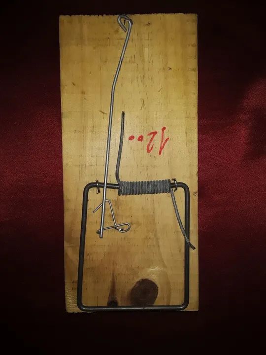 Ratoeira de Madeira - Foto 2