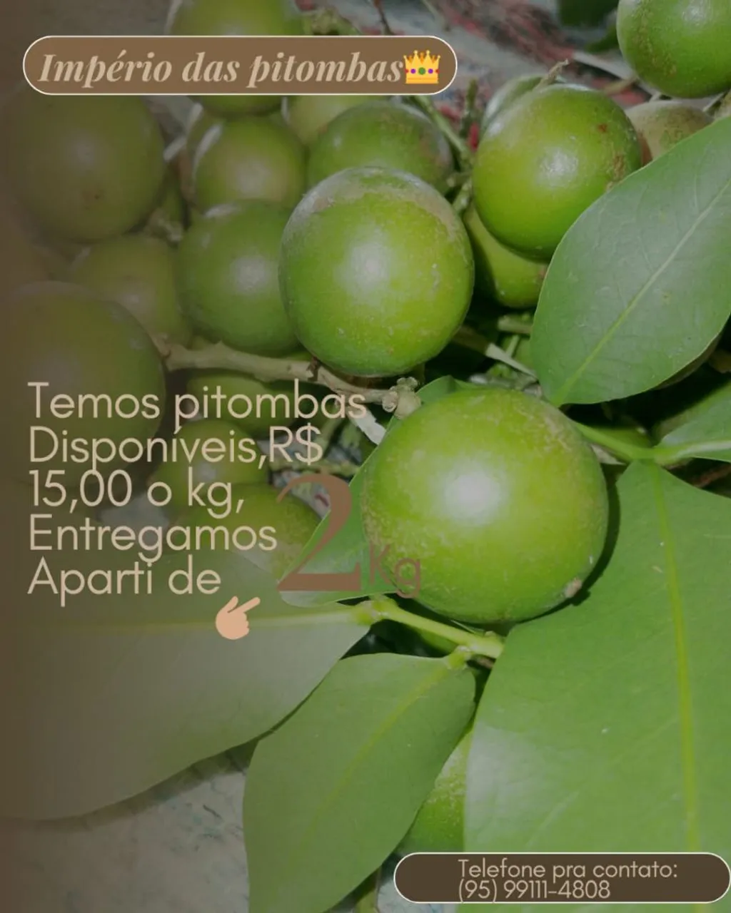 Pitombas Frescas e Saborosas - Direto do Produtor!