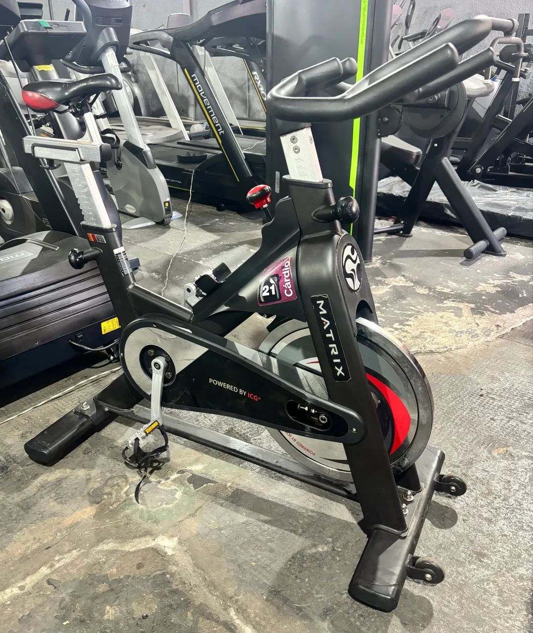 Bike Spinning MATRIX TOP ICG