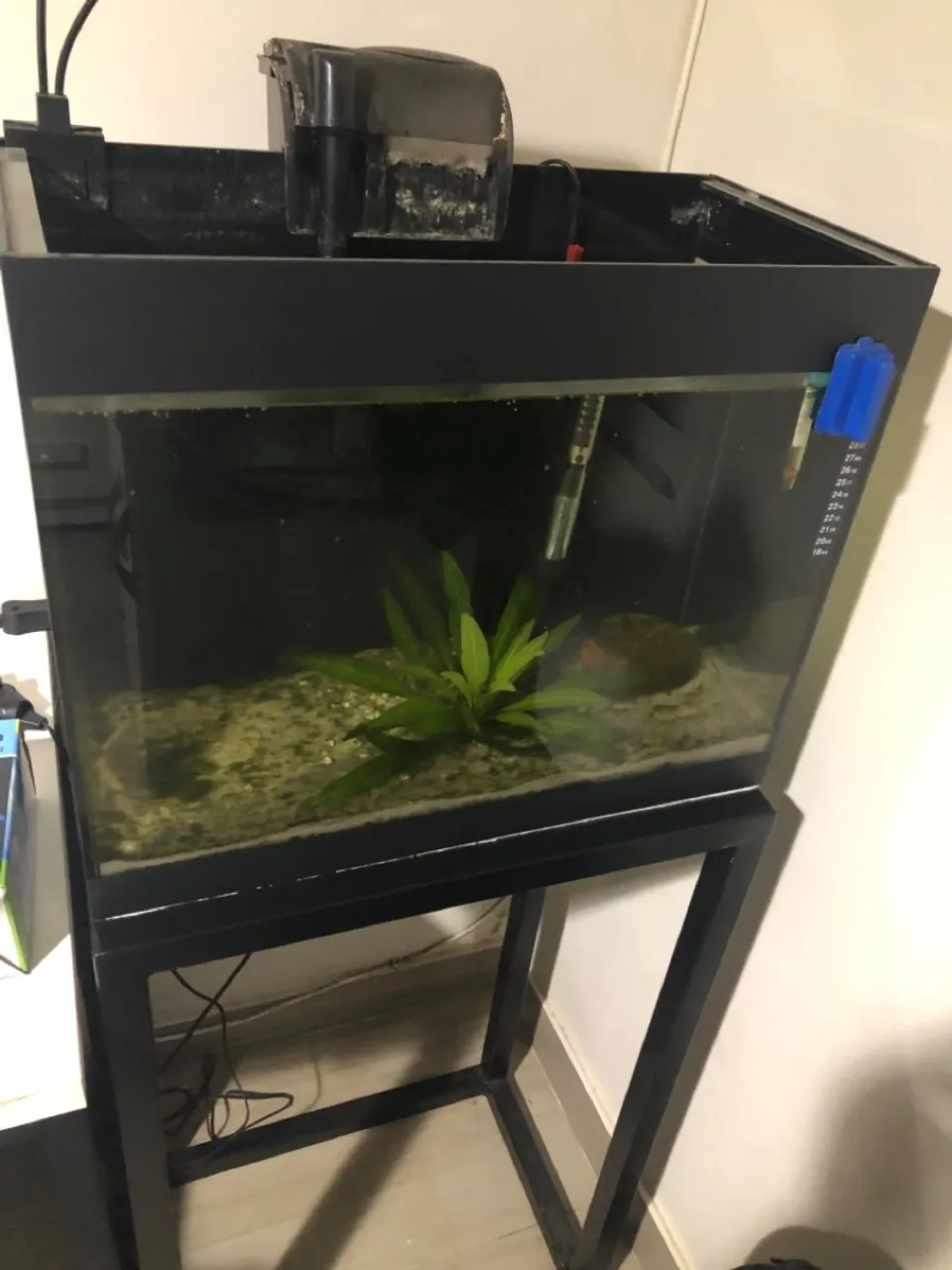 Aquário 50l completo com filtro e termostato