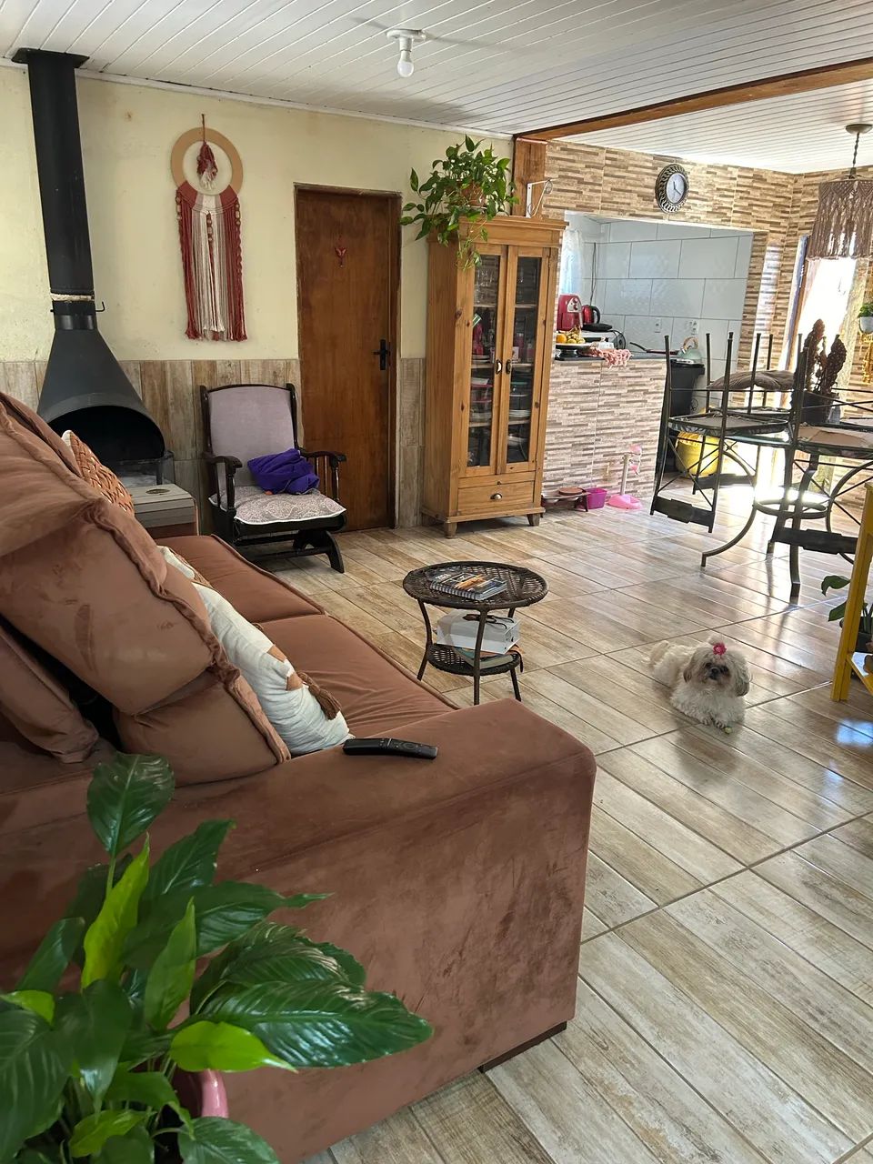 Foto - Porto Alegre - Agronomia