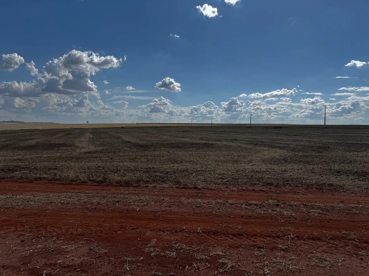 Chácara 20.000 m2 - Mandaguaçu- com escritura individual