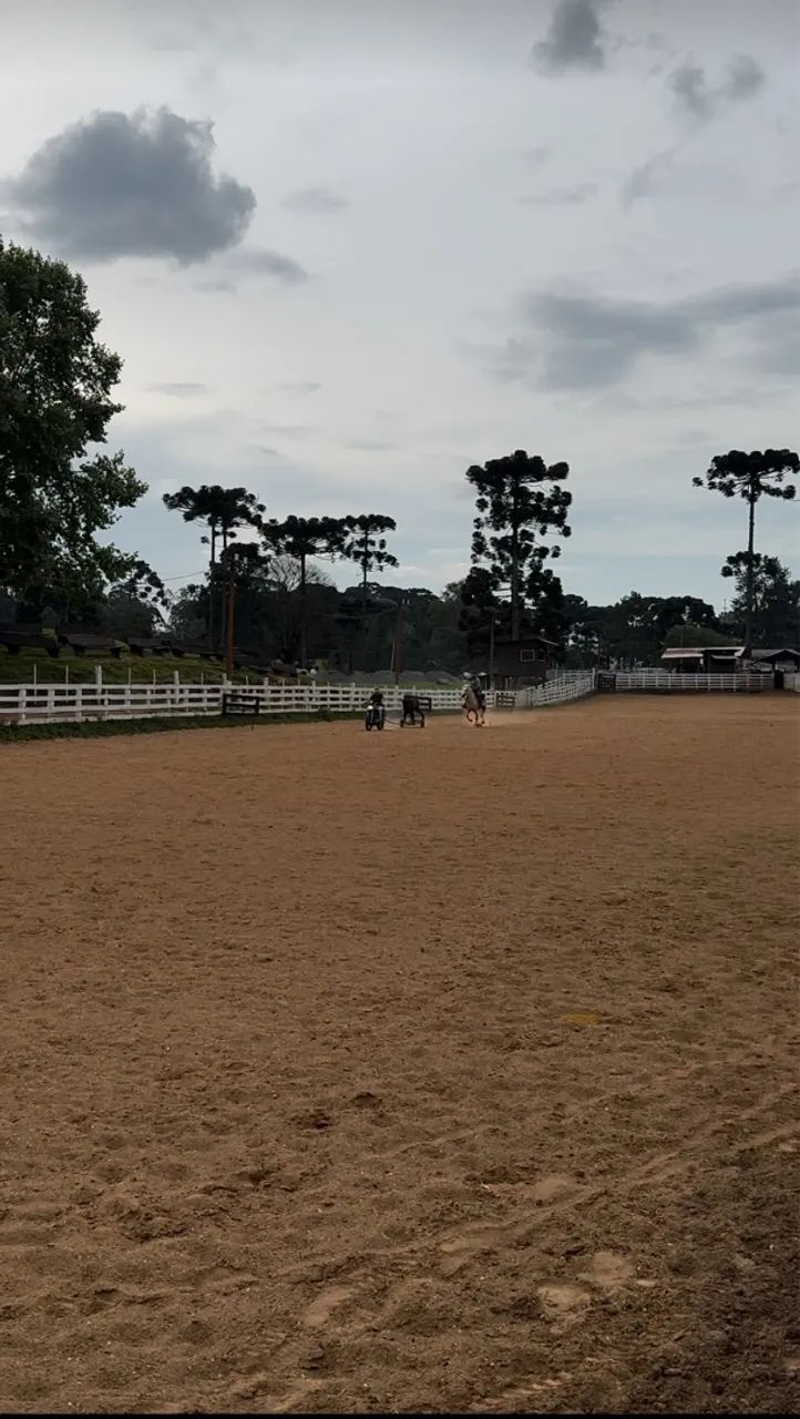 Aluguel de cocheiras - Foto 3