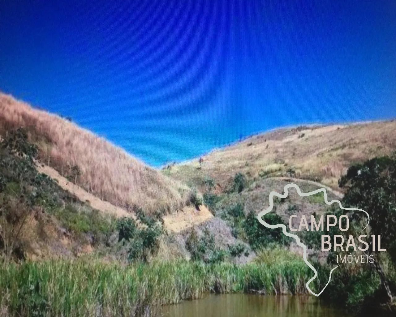 Fazenda em Lavrinhas de 100 alqueires! - Foto 3