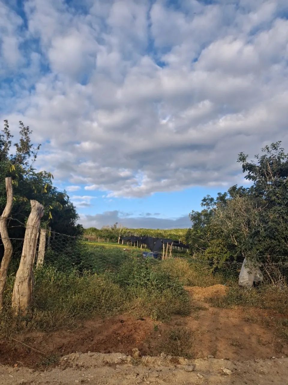 Terreno 10x63m Em Conceição do Coité - Açude Itarandi - Foto 3