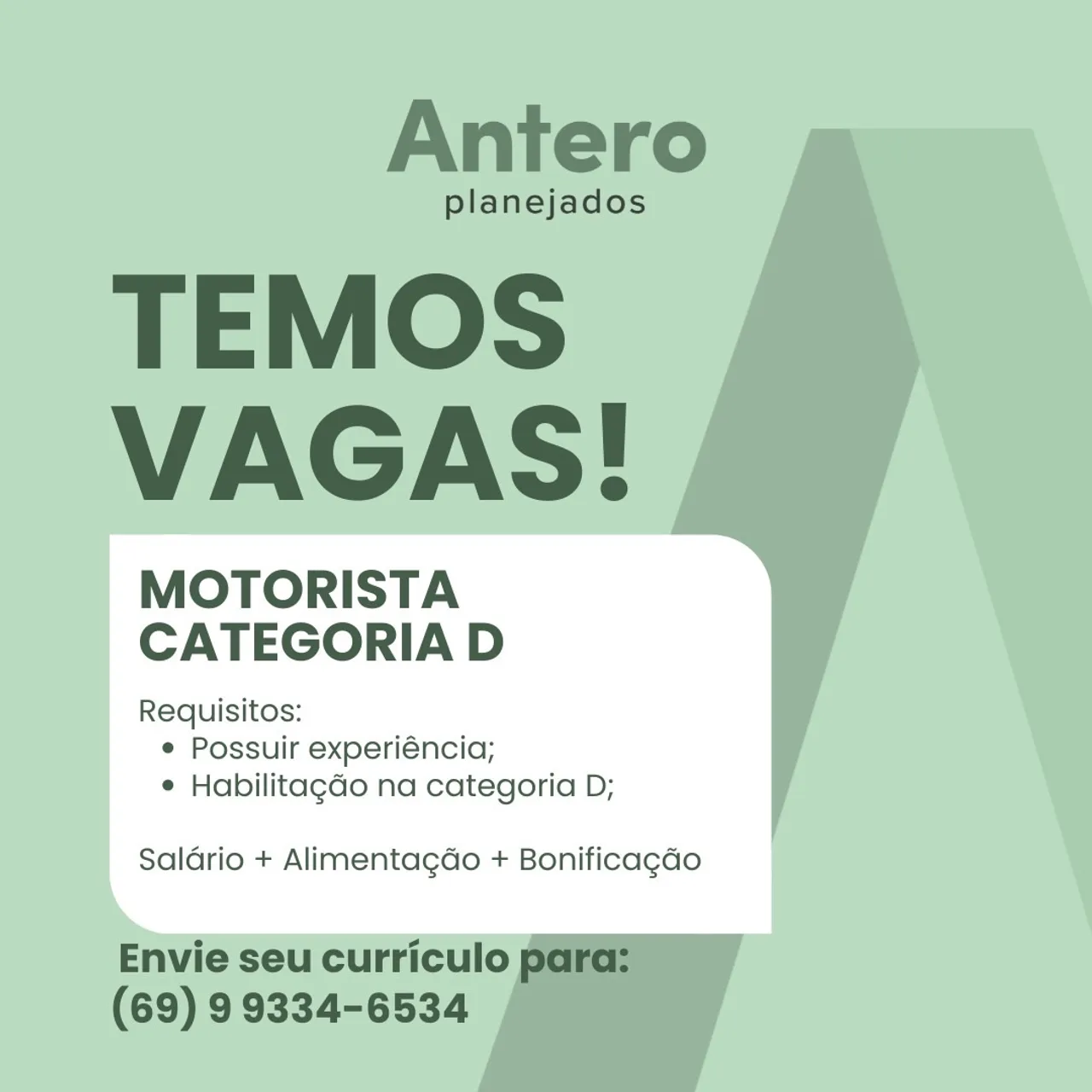 Motorista para caminhão categoria D