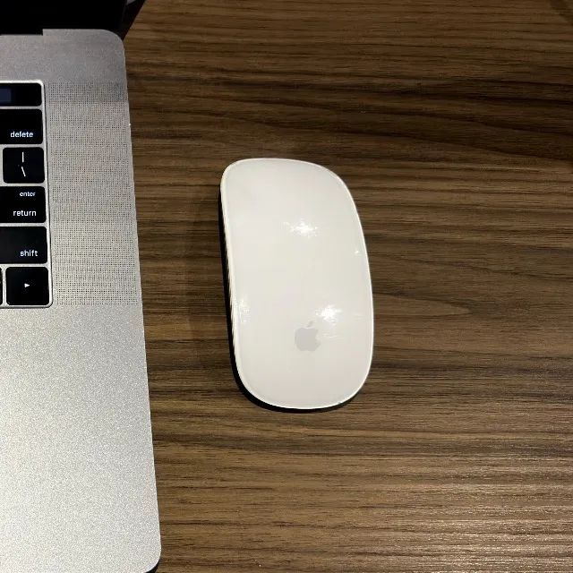 Magic Mouse 1th Gen 