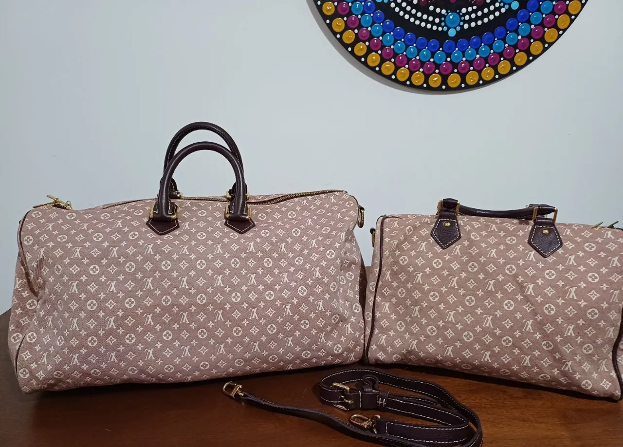 Conjunto Bolsa e mala Louis Vuitton