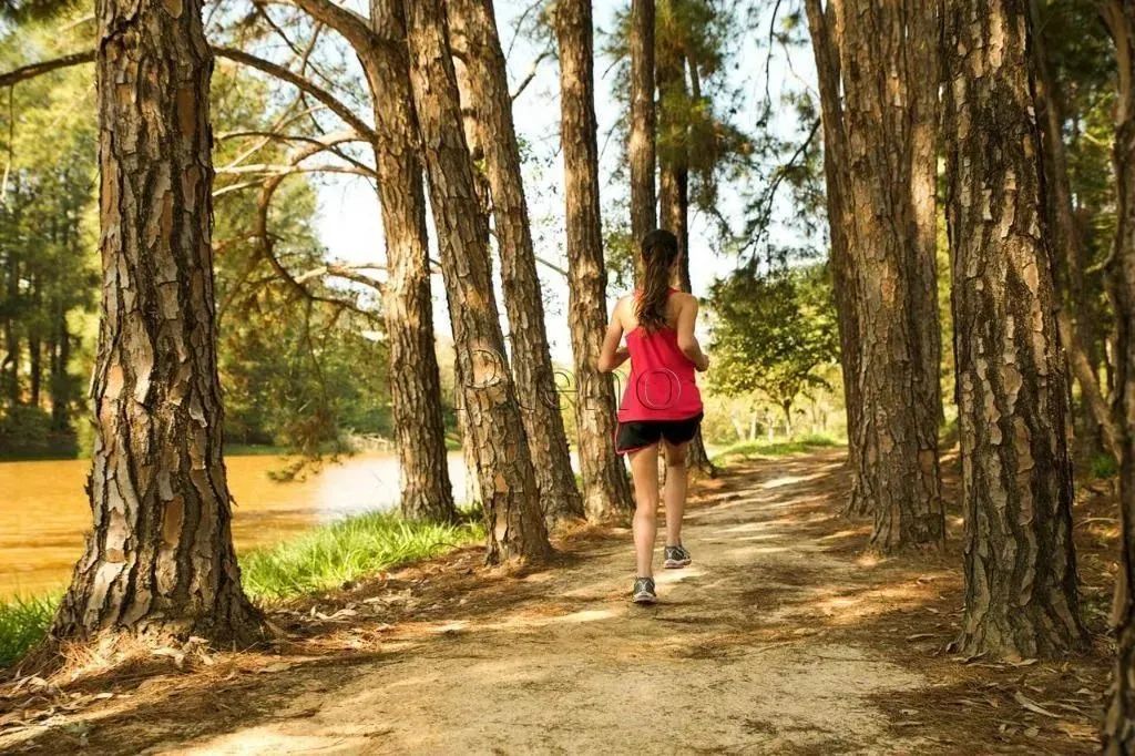Terreno à venda com 2160000 m² no Terras De São José II, Itu - Foto 15