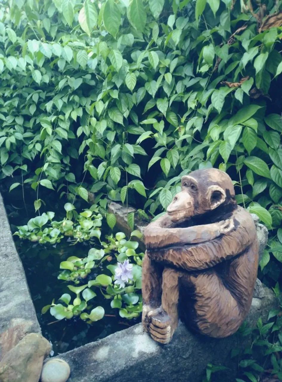 Chimpanzé - escultura em madeira. - Foto 2