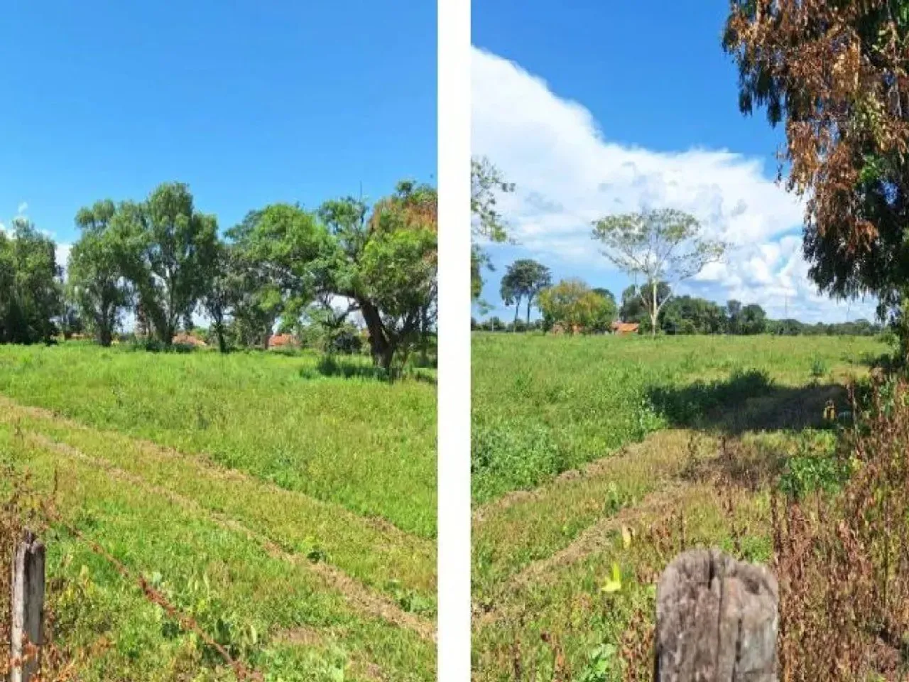 Área de 9 ha - Chácara Santos Reis - Cardoso - SP