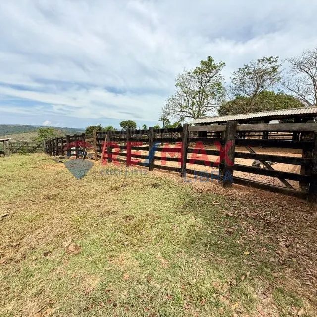 IMOBILIÁRIA LIBRA VENDE FAZENDA  - Foto 3