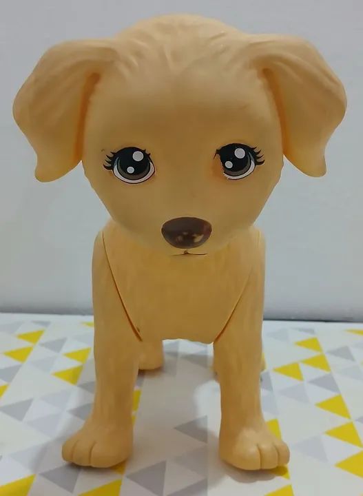 Cachorro da barbie - No estado 