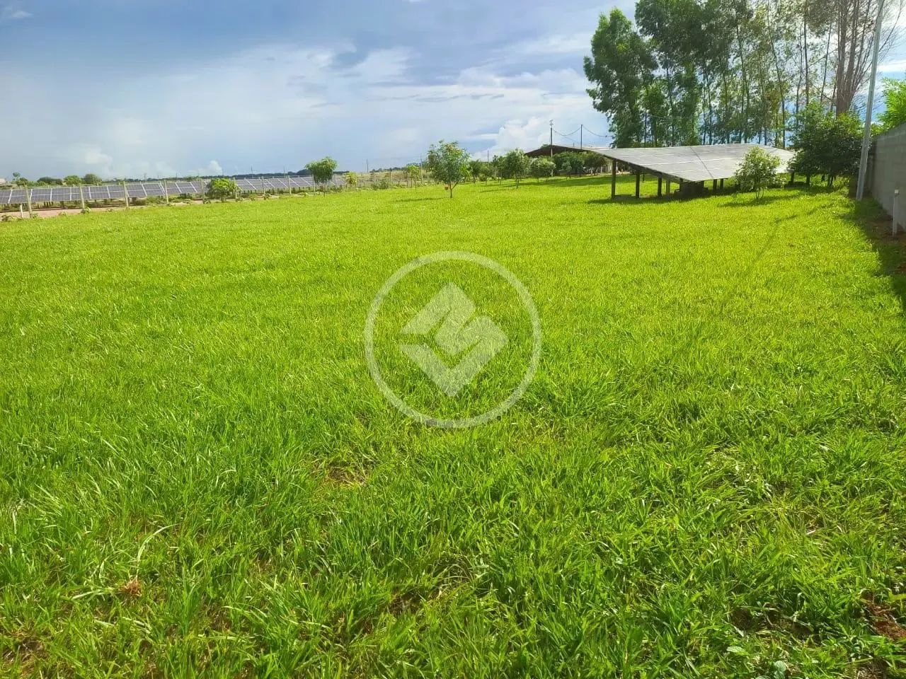 CHÁCARA NA REGIÃO DA BRÍGIDA 3800 M² SINOP-MT codigo: 114743 - Foto 5