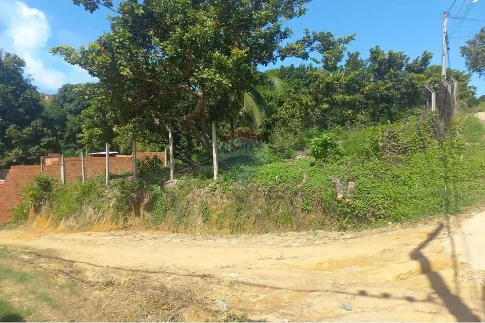 Negócio Imperdível: Terreno em Maceió, AL-101