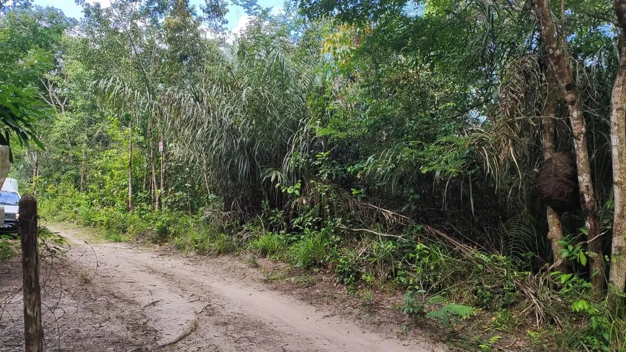 Terreno em Santa Rita  - Foto 2