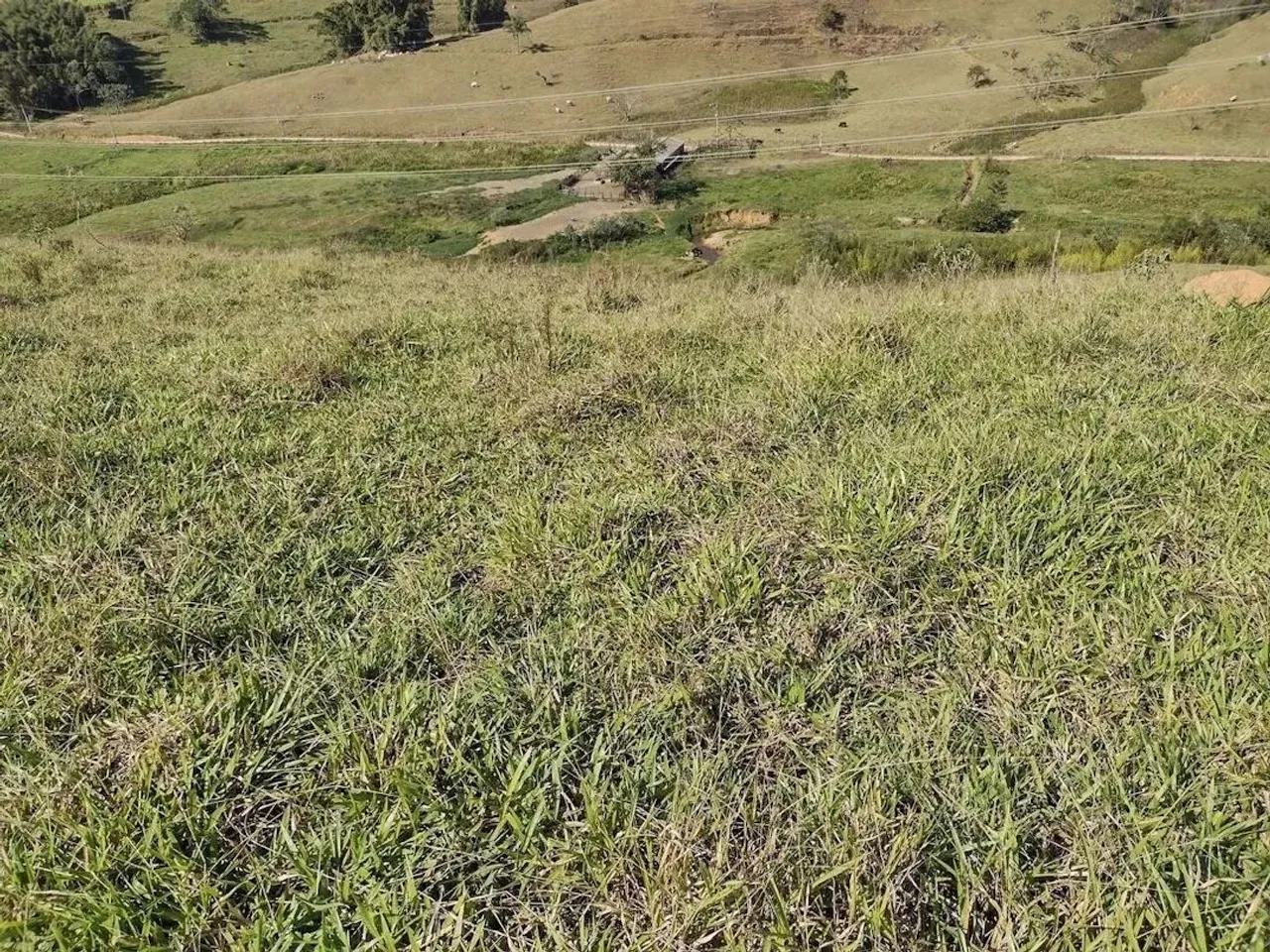 Fazenda com 105 alqueires e rica em água em Vale do Rio Formoso - São José do Barreiro/SP.