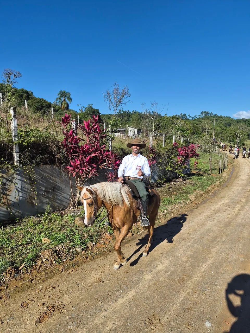 Egua Baia - Foto 4