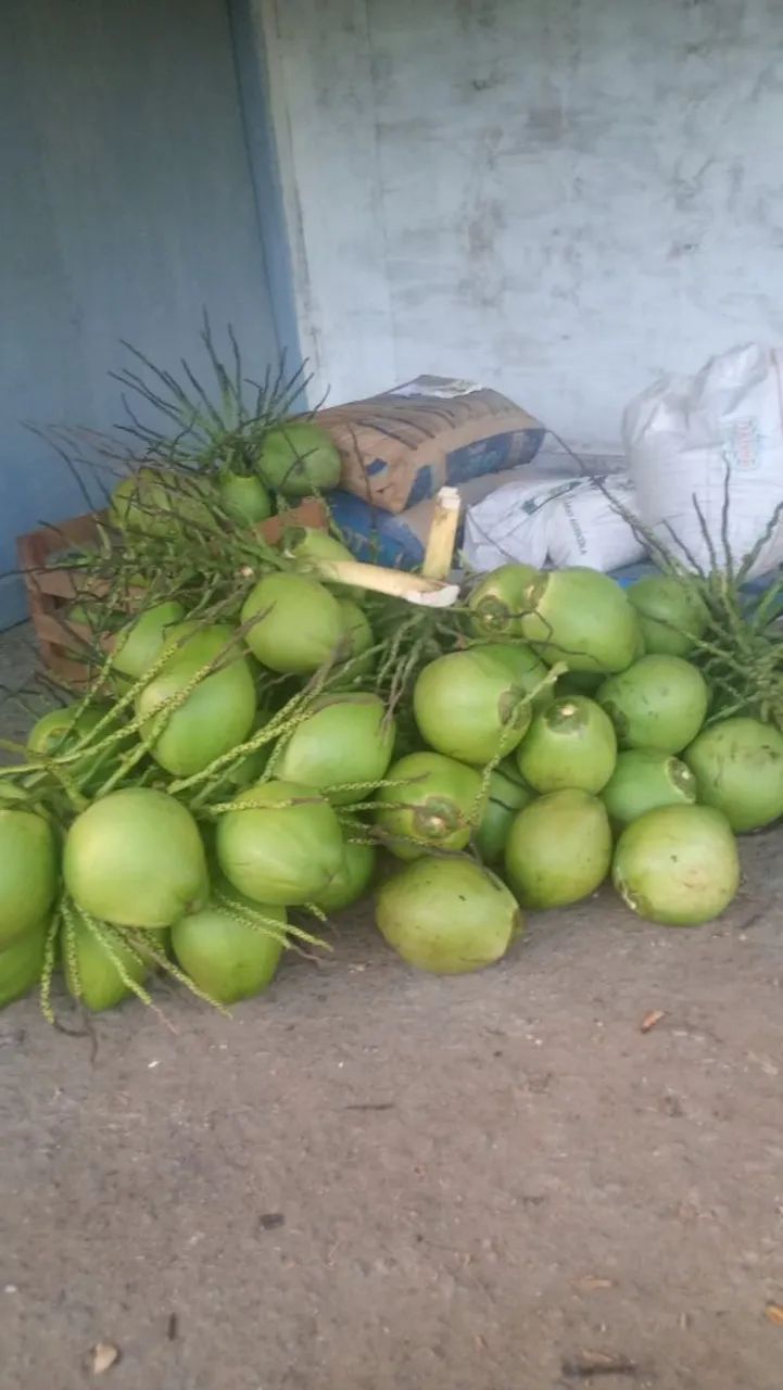 água de coco  - Foto 2