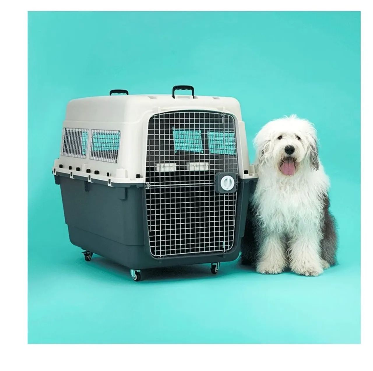 Caixa de Transporte para Cães e Gatos Gomoov XG - Foto 4