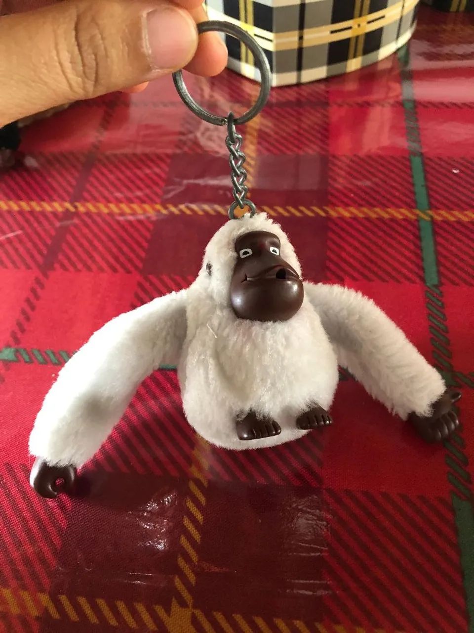Macaco branco da kipling 