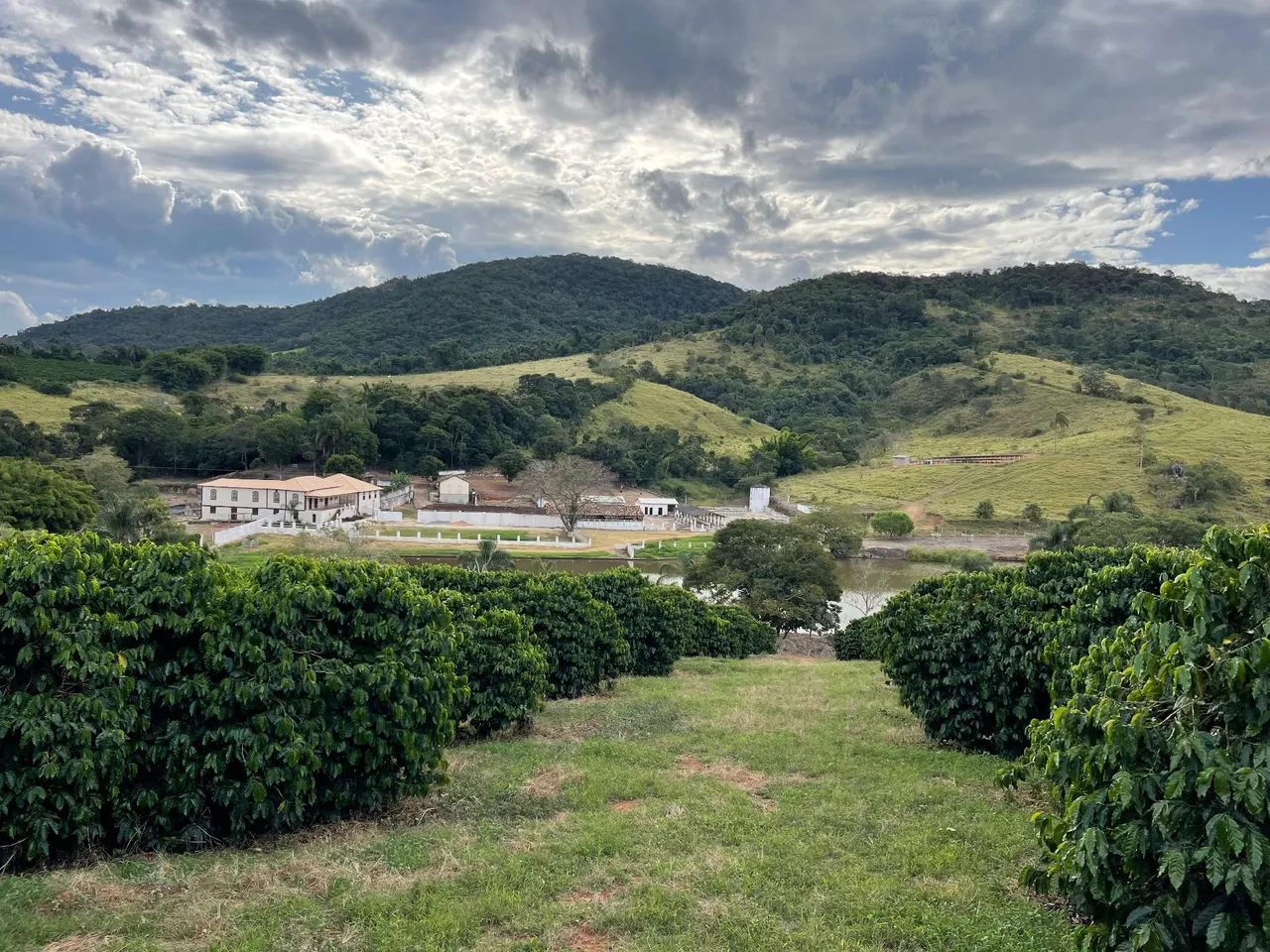 Fazenda de Café e Gado em Bom Sucesso - Minas Gerais - Foto 3