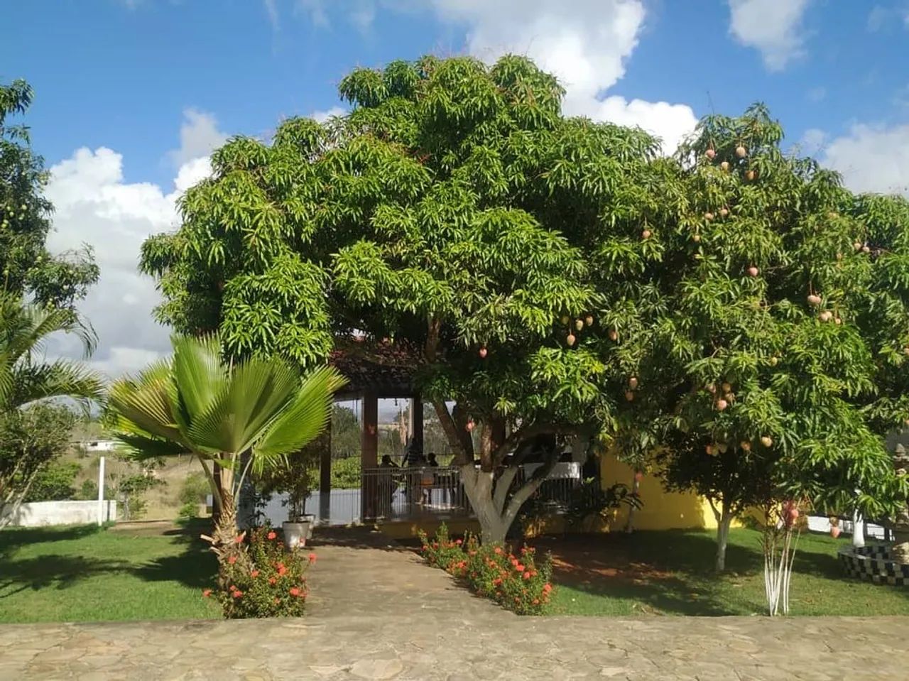 Chácara para eventos  - Foto 5