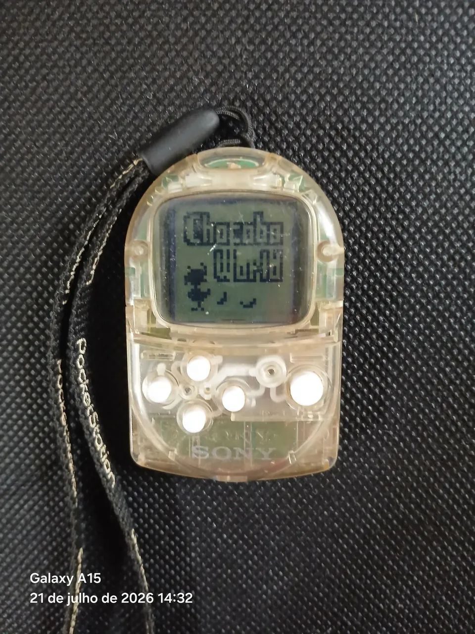 Pocket Station