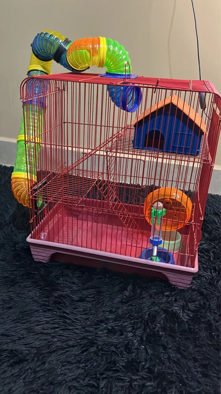Vende se Casinha de hamster - Foto 2