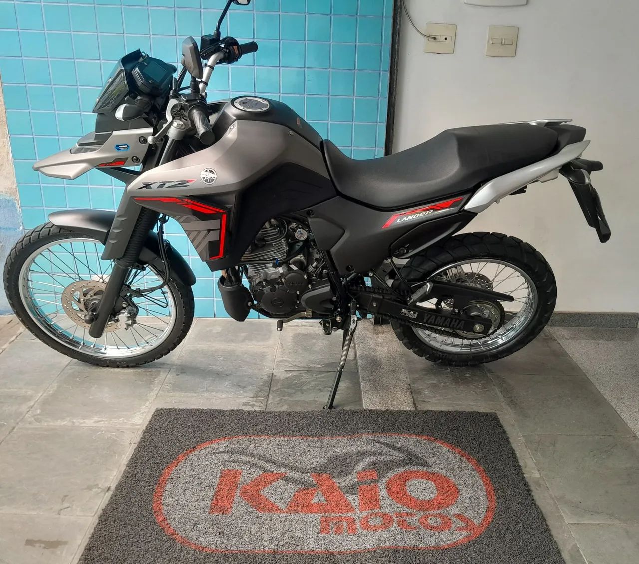 Lander 250 2025 - Foto 3