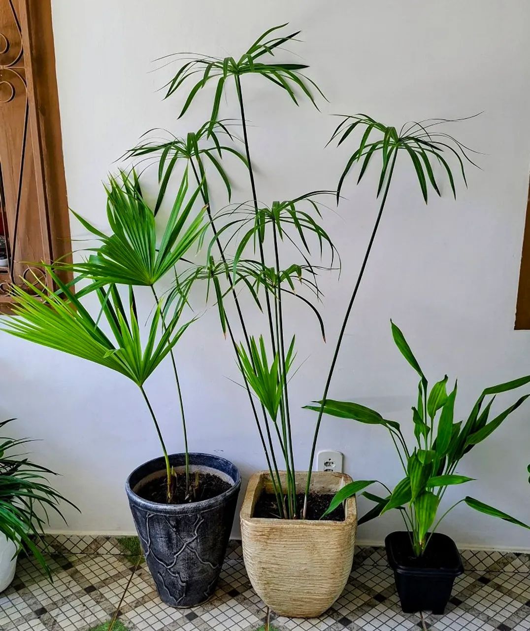 Vendo  - Foto 4