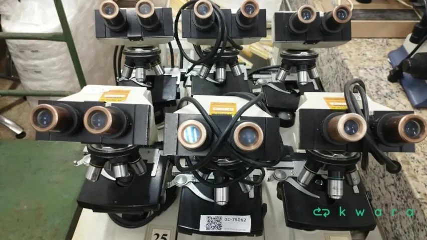 6 Microscópios