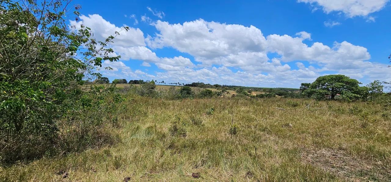 TERRENO NO POVOADO TOMBO, SALGADO - Foto 2
