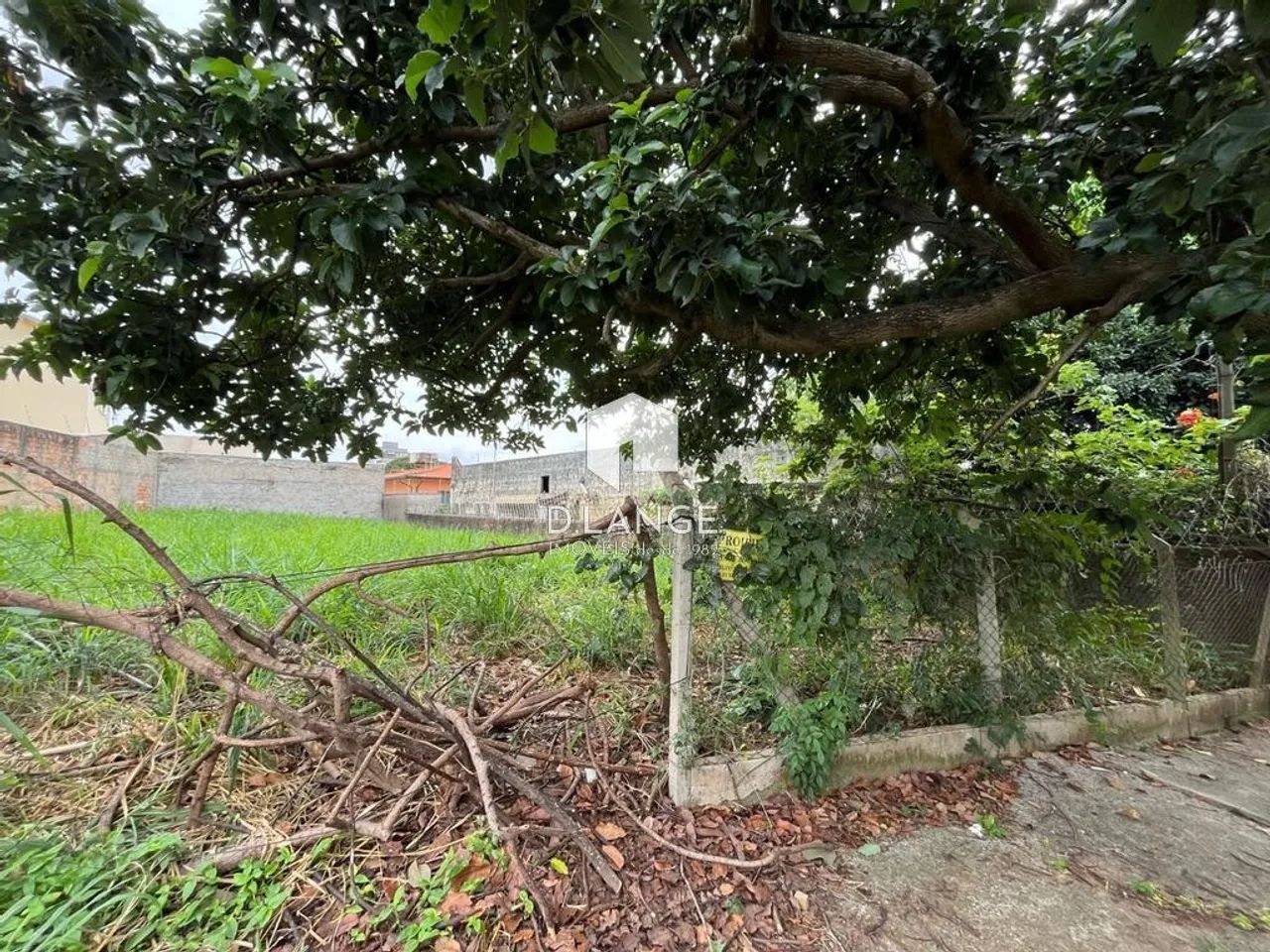 Terreno à Venda no Bairro Nova Campinas em Campinas - Foto 3