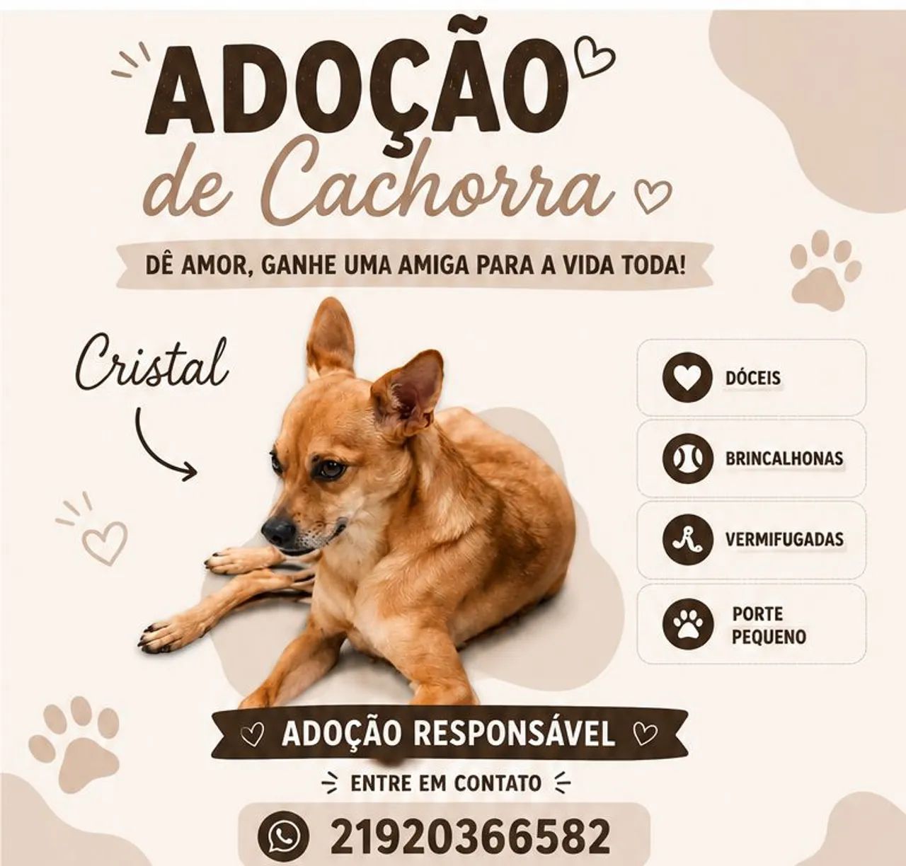 Adoção Cristal 