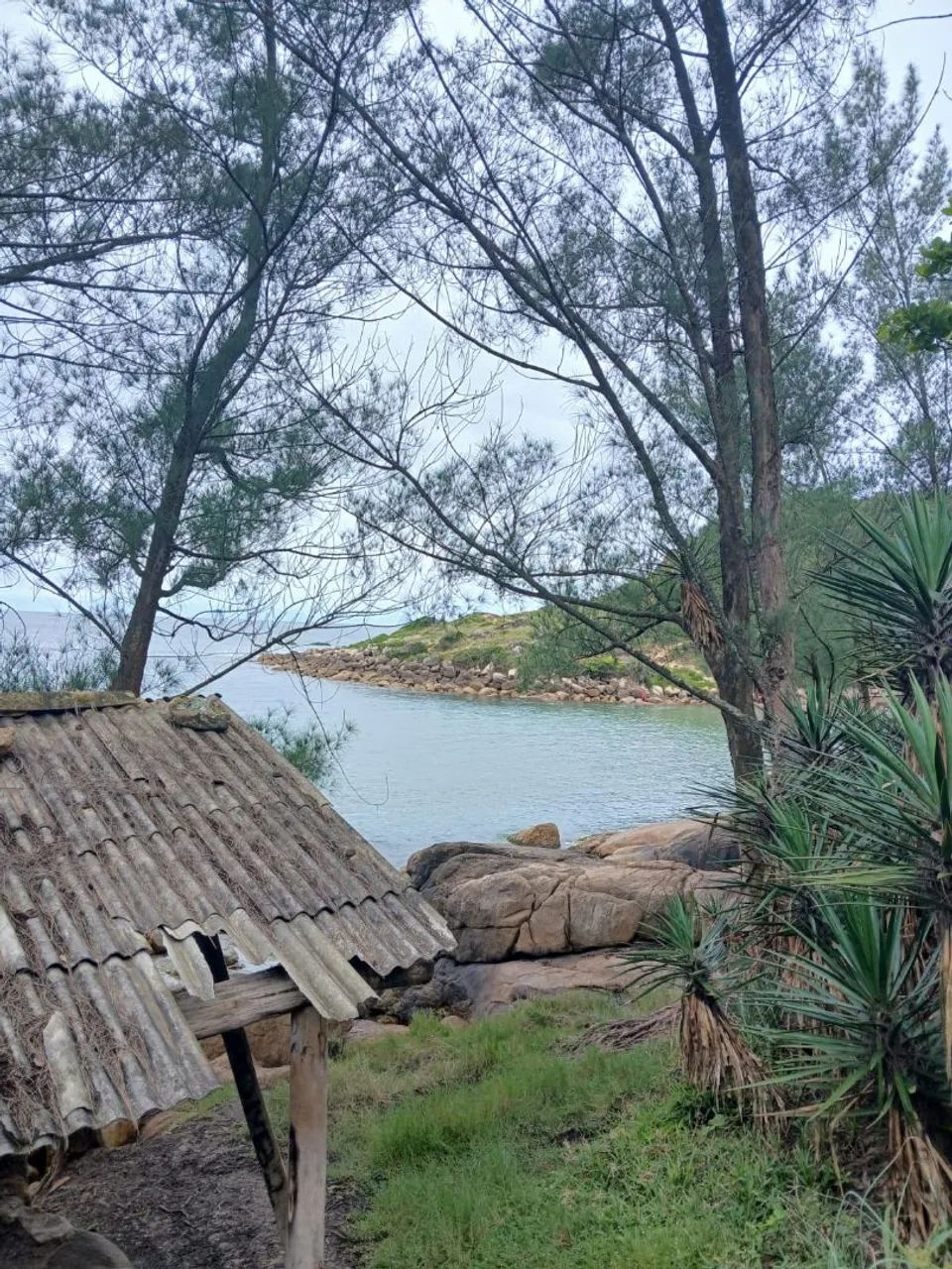 Vendo terreno com vista para o mar na Ribanceira  - Foto 5