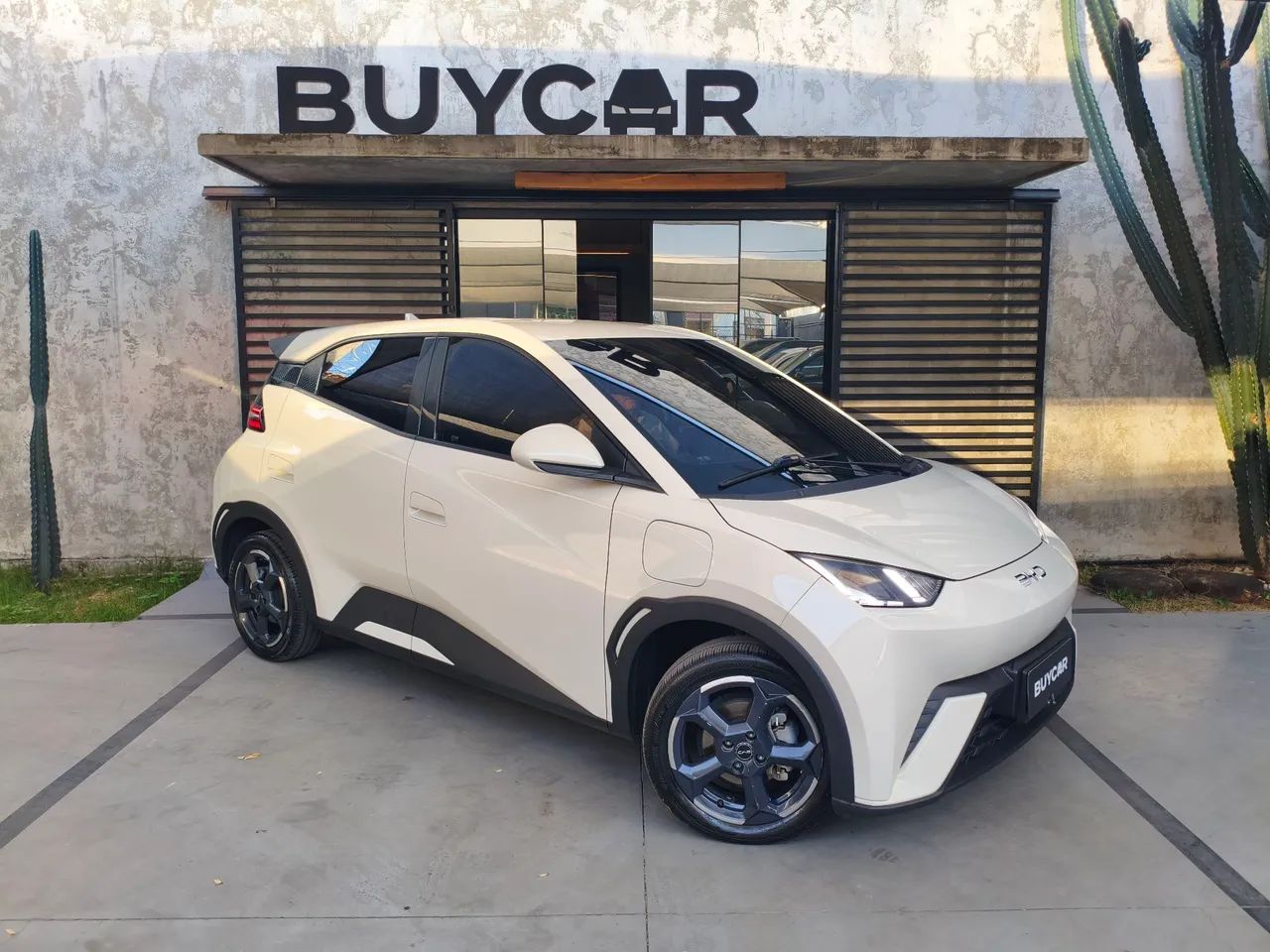 BYD Dolphin Mini (Elétrico) 2025