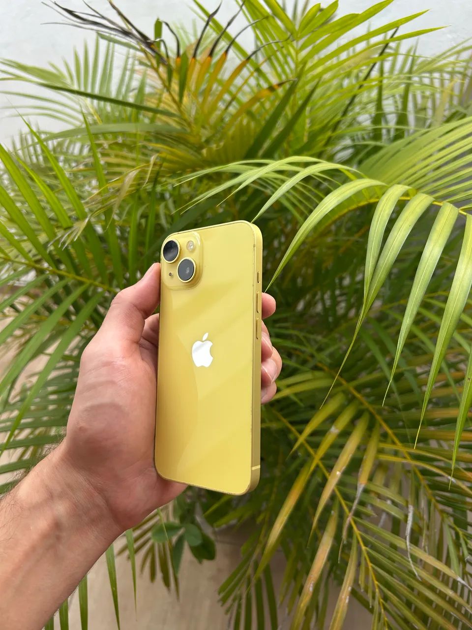 Apple iPhone14 イエロー 128gb 本体 Apple iPhone 14 128GB Amarelo 6,1