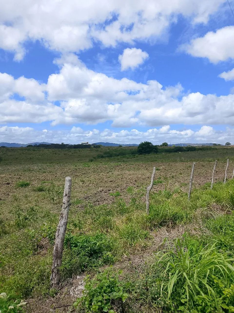 Terreno para chacara 20por 60 - Foto 5