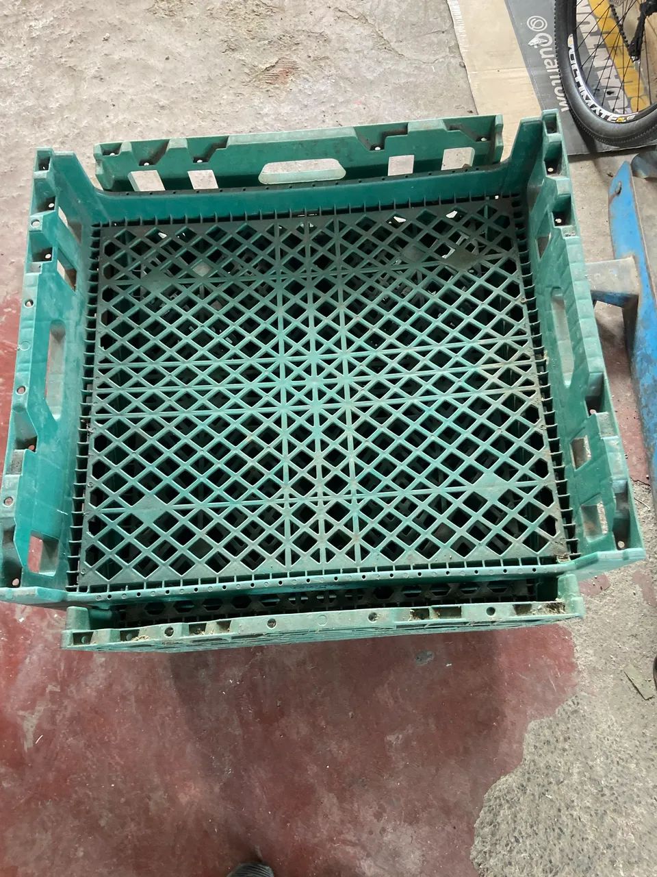 Galeia de pão  - Foto 2