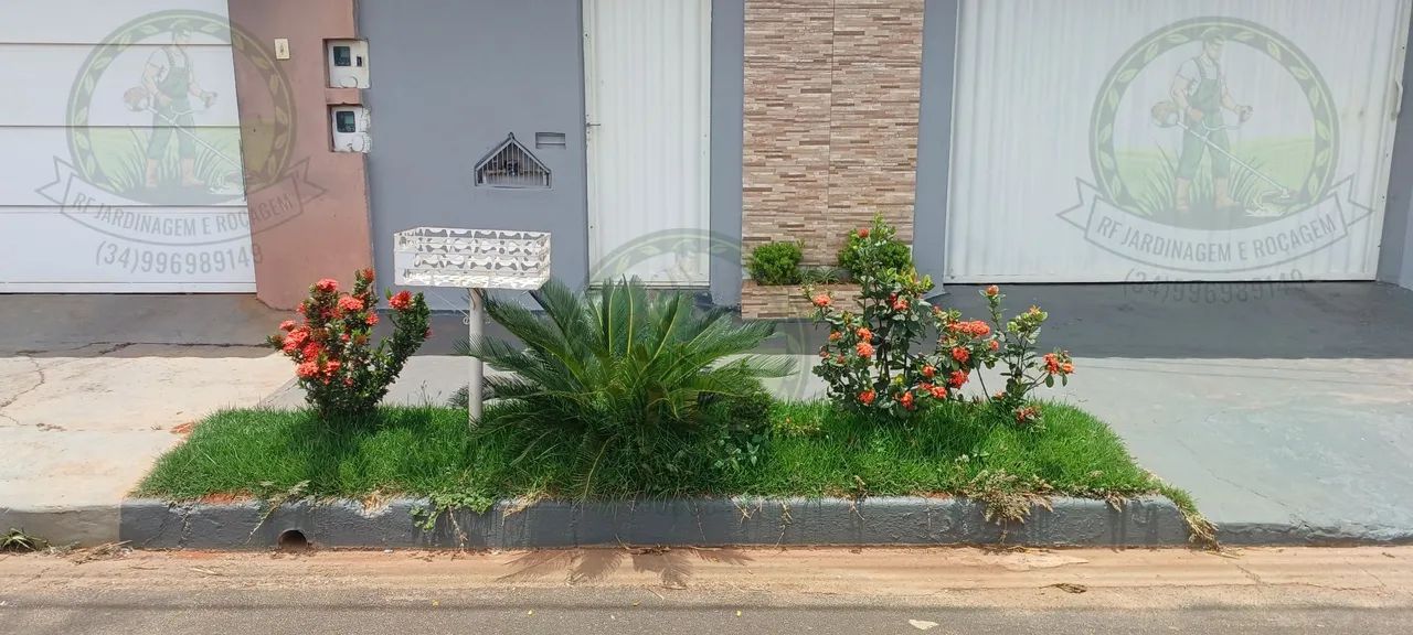Jardinagem & Roçagem  - Foto 4