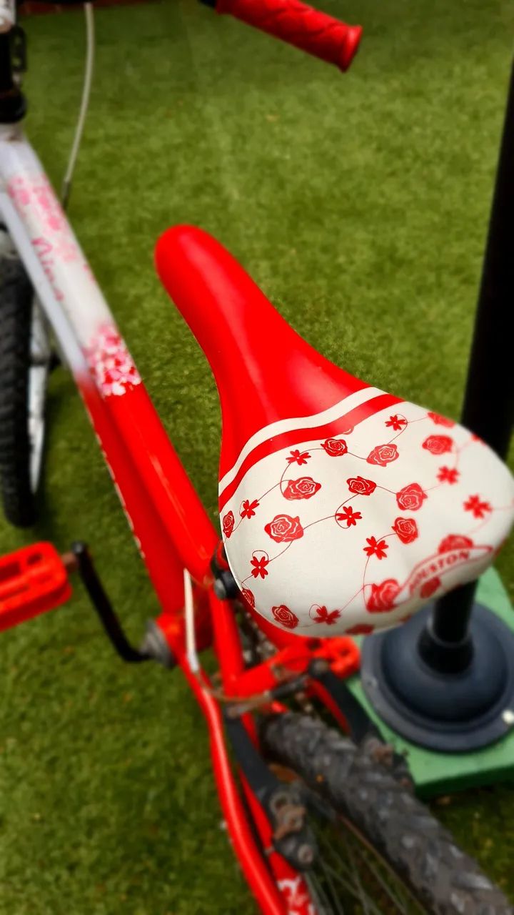 Bicicleta Infantil para Meninas - Foto 2