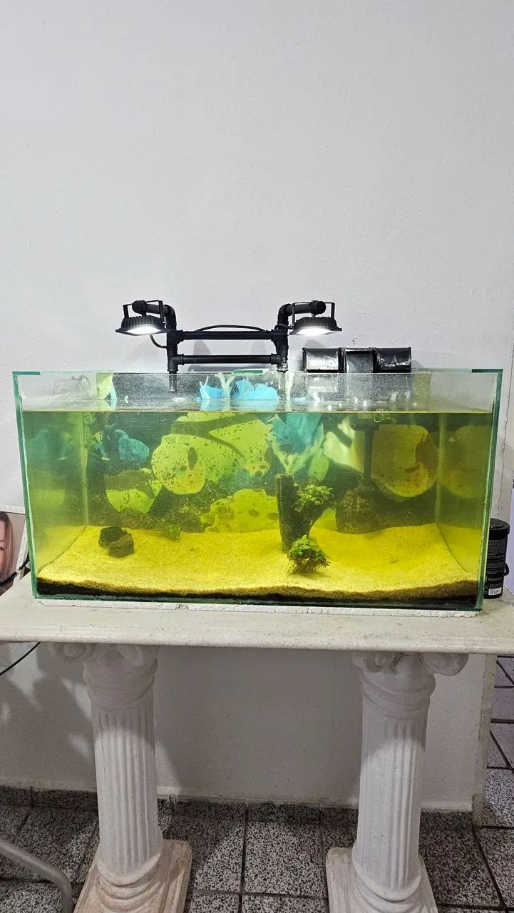 Aquário 115L