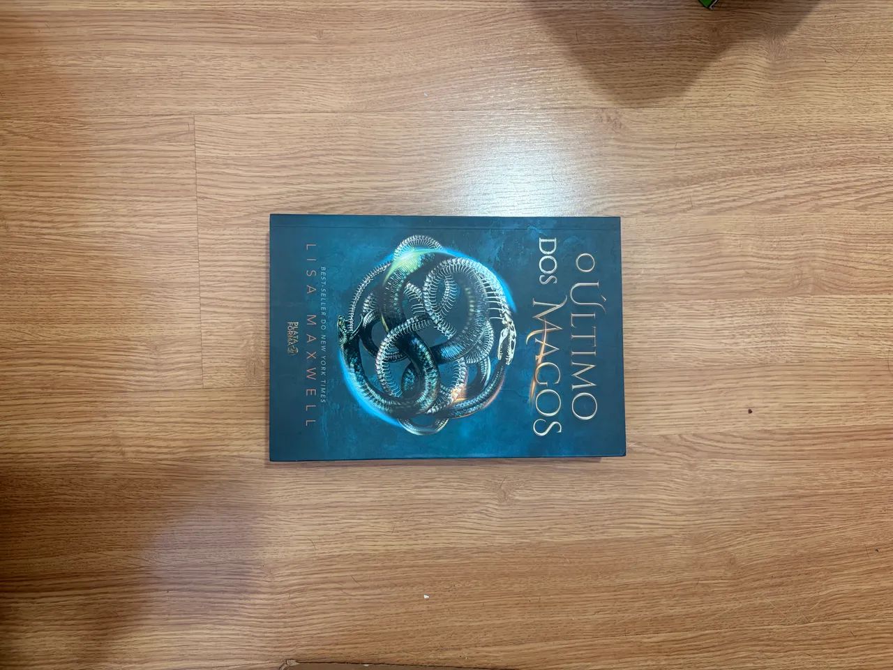 O último dos magos