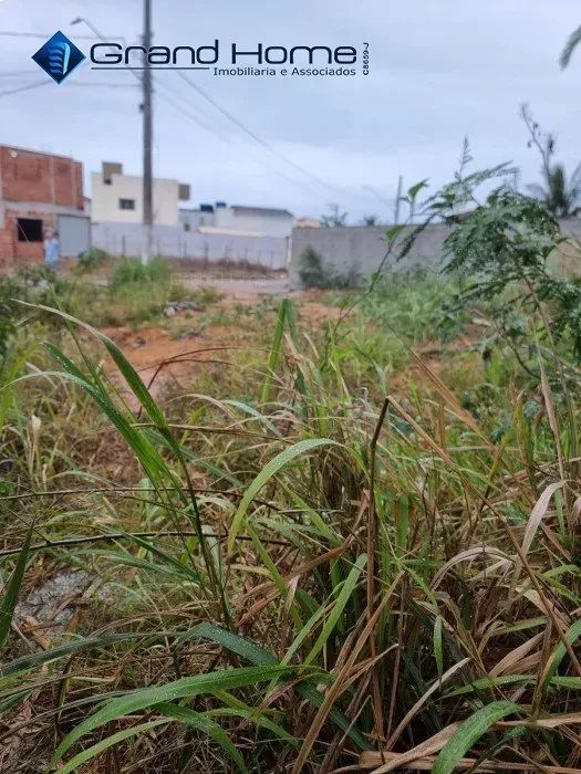 Terreno em Ponta da Fruta