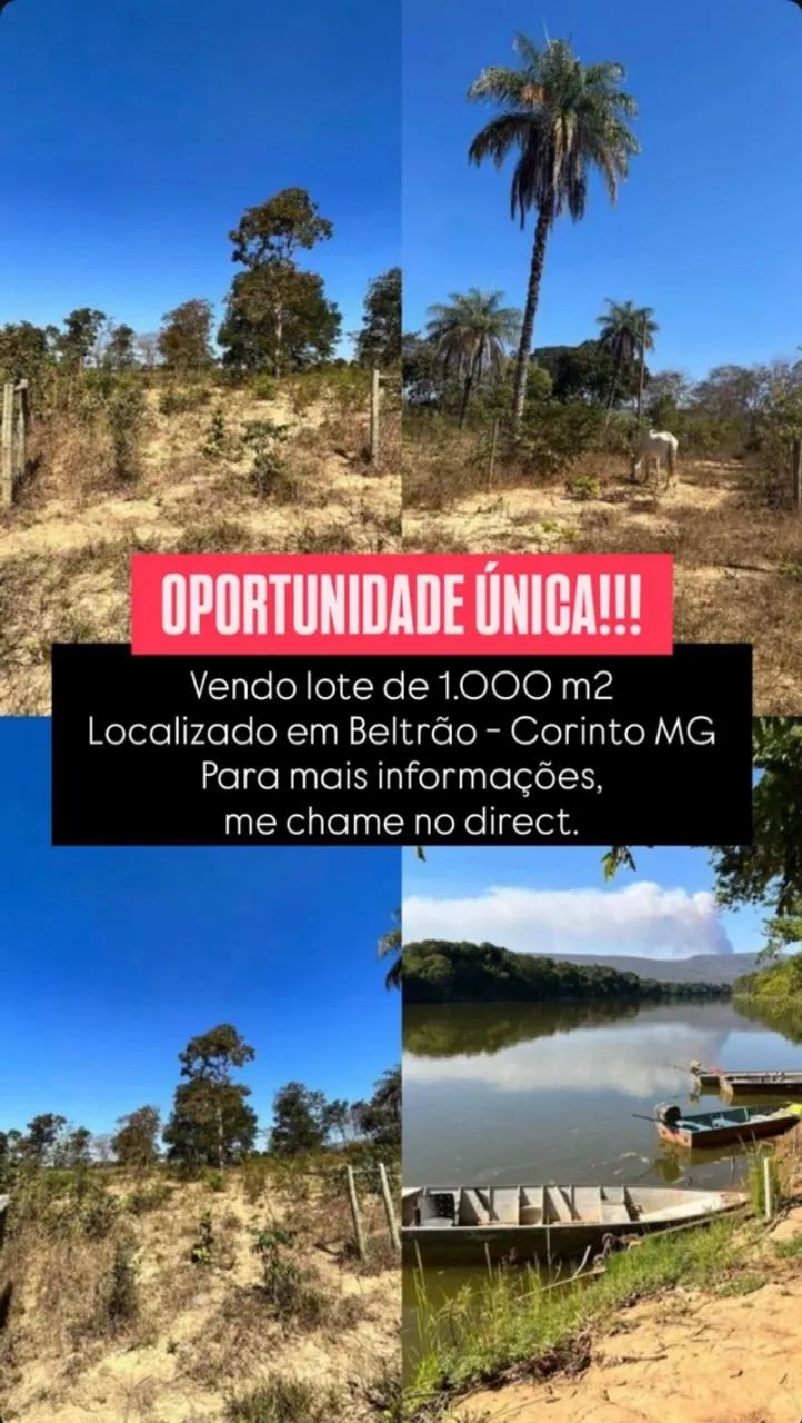 Lote 1.000 m2
