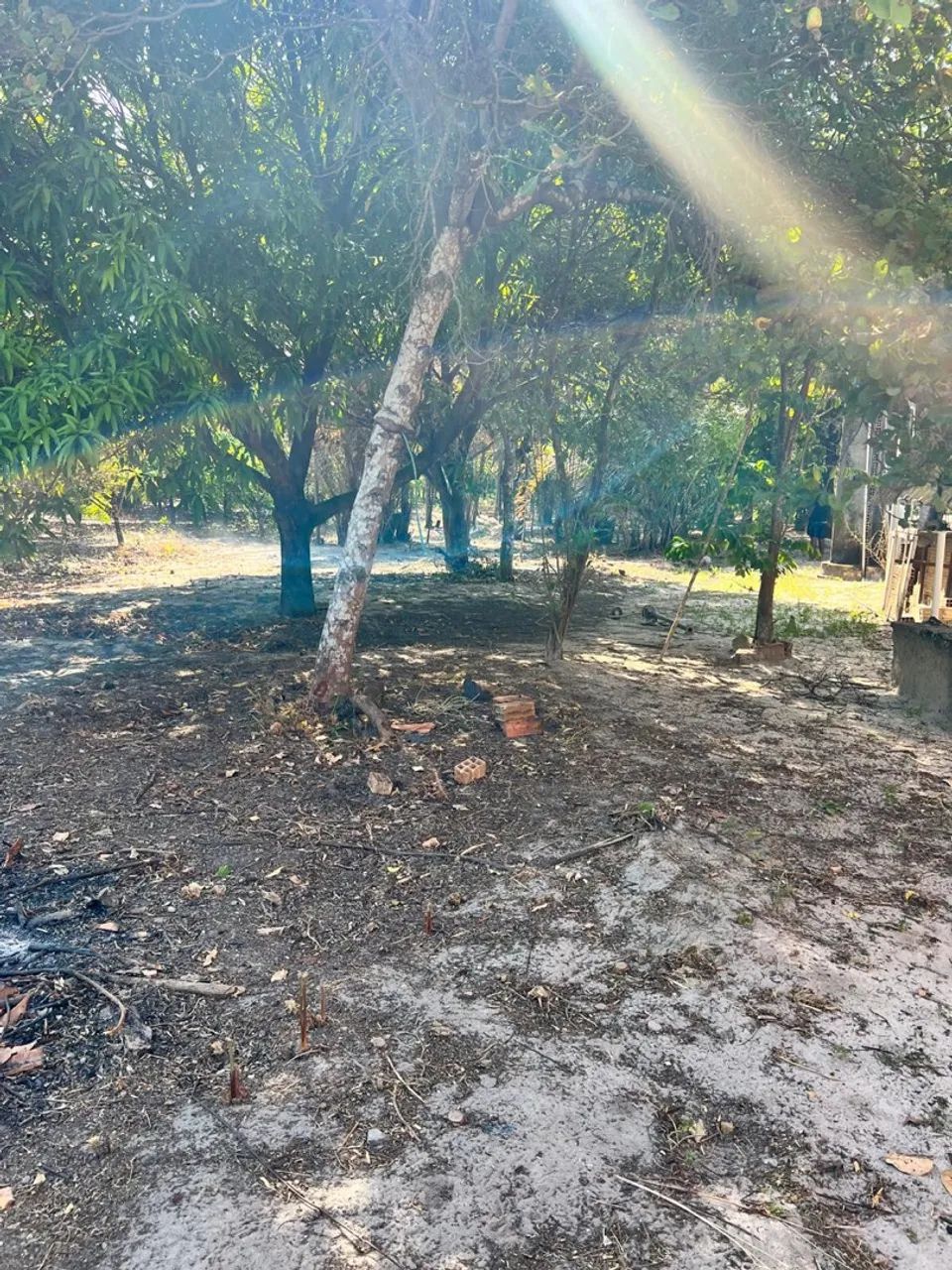 Vendo ou troco terreno em Marudá/PA - Foto 4