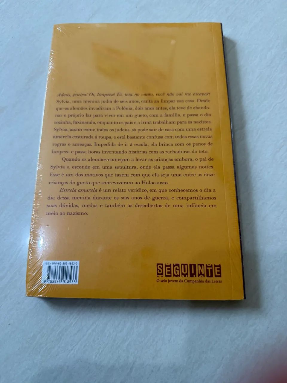 Estrela amarela - livro da Jennifer Roy - Foto 2